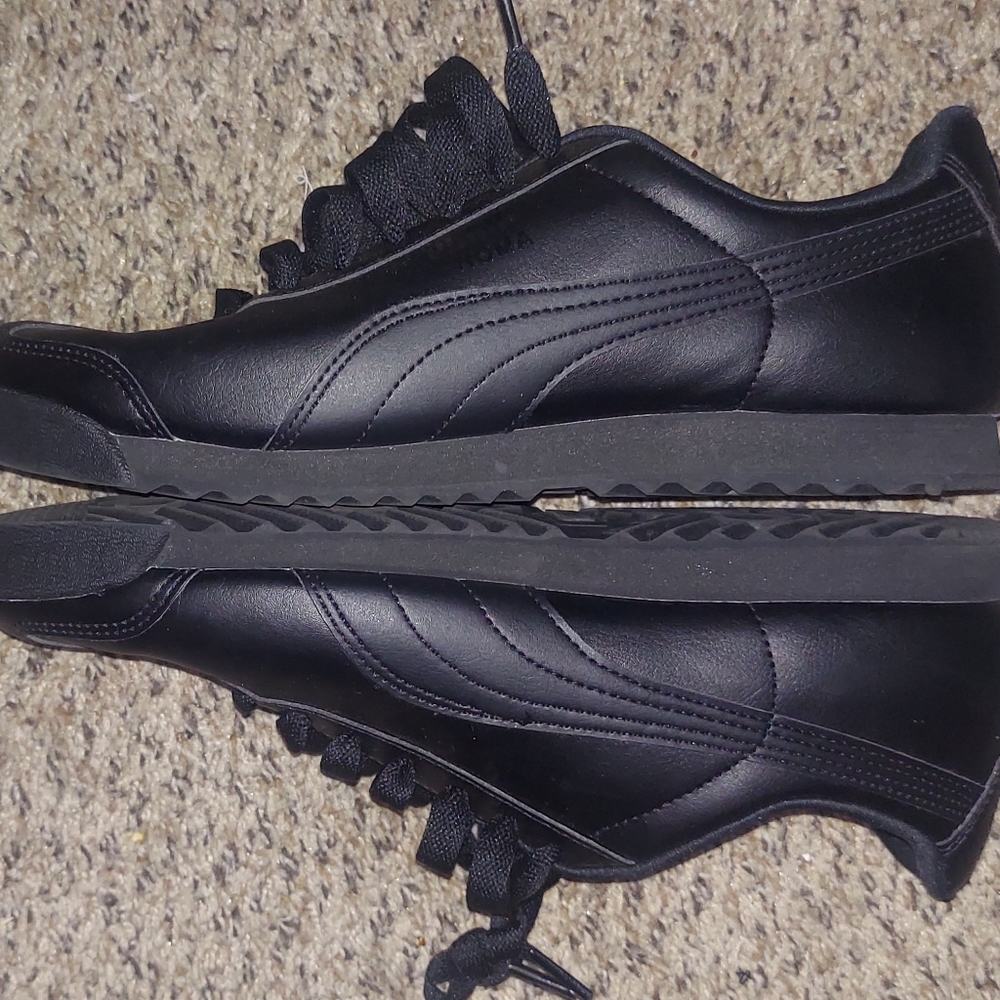 Puma roma